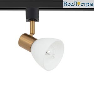 Трековый светильник Arte Lamp Falena A3117PL-1BK