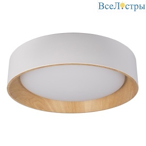 Потолочный светодиодный светильник Loft IT Coin 10202 White