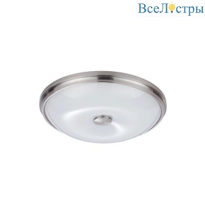 Потолочный светильник Odeon Light Walli Pelow 4957/4