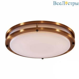 Потолочный светодиодный светильник Citilux Бостон CL709503N