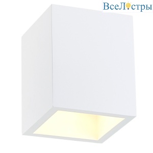 Накладной светильник Simple Story 2019-1CLW