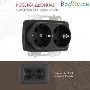 Розетка двойная с заземлением Arte Milano 205.40-2.black