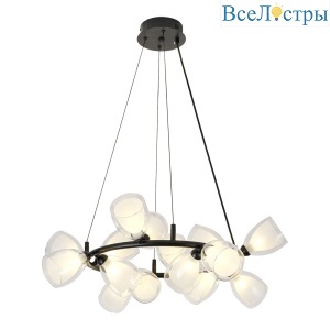 Подвесная люстра Lussole Inglewood LSP-6063