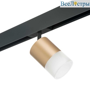 Трековый светильник Lightstar Rullo (213490+595087+202481) PRO349081