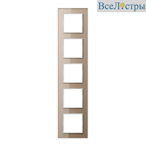 Рамка пятиместная Jung AC585GLCH