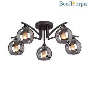 Потолочная люстра Vitaluce V4285-1/5PL
