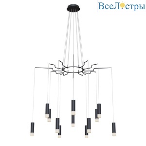 Подвесная люстра Maytoni Davida MOD035PL-12B