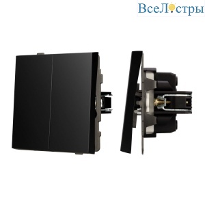 Механизм выключателя двухклавишный проходной Arlight SWT-TENDO-MKP2-PL-BK (230V, 10A) 054067