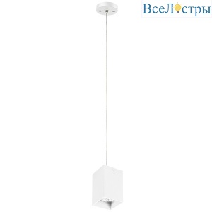 Подвесной светильник Lightstar RULLO RP336 (216336+590256)