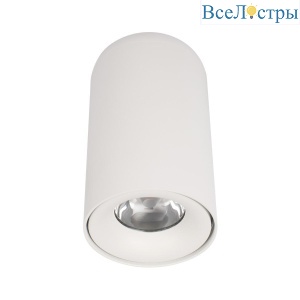 Потолочный светодиодный светильник Loft IT Tictac 10220 White 4000K