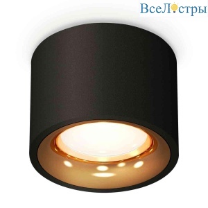 Комплект накладного светильника Ambrella light Techno Spot XS7511024 SBK/PYG черный песок/золото желтое полированное (C7511, N7014)