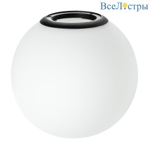 Плафон с черным металлическим кольцом Lightstar Teta 595110