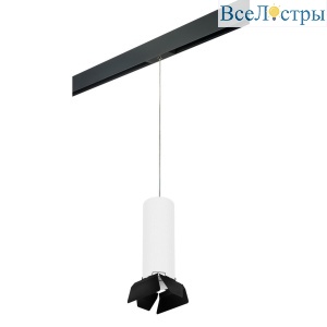 Трековый светильник Lightstar Rullo (216496+595887+202487) PRORP6496487