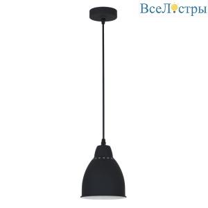 Подвесной светильник Arte Lamp Braccio A2054SP-1BK