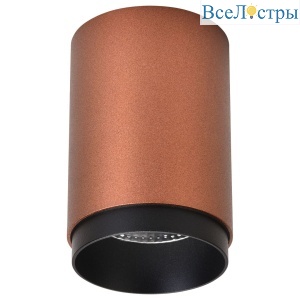 Точечный накладной светильник Wertmark Stecken WE801.01.607+WE803.RG.020