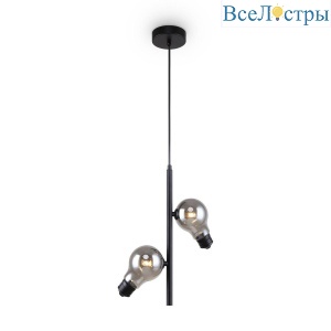 Подвесной светильник Freya Evidence FR5372PL-02B