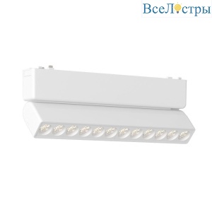 Трековый светильник Aployt Magnetic track 48 APL.0102.10.12