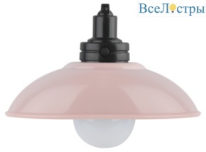 Настенный светильник Эра NLED-487-1W-SW-P Б0051477