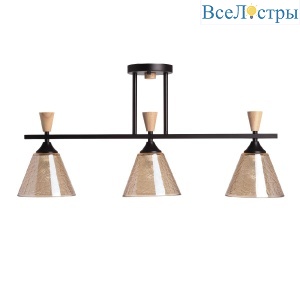 Потолочный светильник De Markt Дэла 635014503