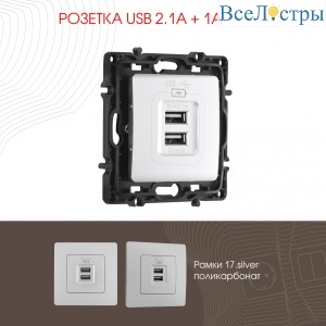 Розетка USB 2.1А+1А Arte Milano 217.46-1.silver