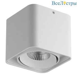 Потолочный светильник Lightstar Monocco 212516
