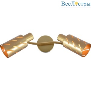 Спот Reluce 05970-0.8-02 GOLD