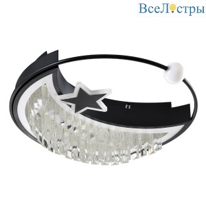 Потолочный светильник LED4U L8024-450 BK
