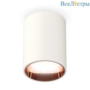 Комплект потолочного светильника Ambrella light Techno Spot XC (C6312, N6114) XS6312024