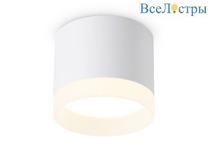 Накладной светильник Ambrella Light Acrylic Frost TN5365