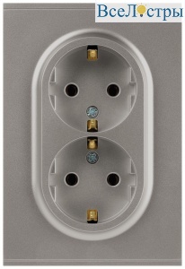 Розетка Эра Arktik 16-2105-07 двойная с заземлением 2X2P+E Schuko со шторками 16А-250В титан Б0070460