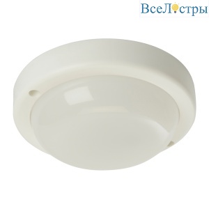 Настенно-потолочный светильник Feron AL3008 48996