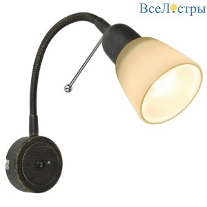 Спот Arte Lamp Lettura A7009AP-1BR