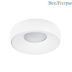 Потолочный светильник Arte Lamp Heze A6665PL-1WH