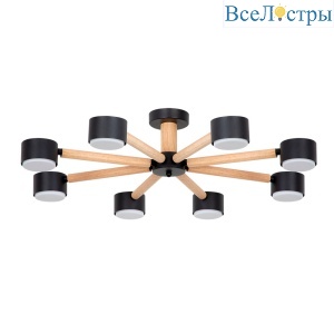 Потолочные люстры Arte Lamp Tenda A1624PL-8BK