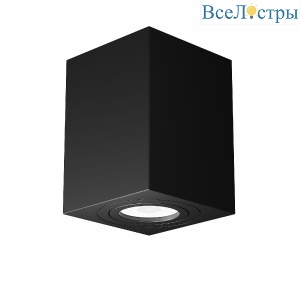 Потолочный светильник Maytoni Alfa C017CL-01B