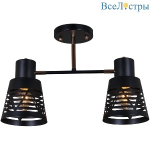 Потолочный светильник Reluce 06074-3.3-02 BK+FG