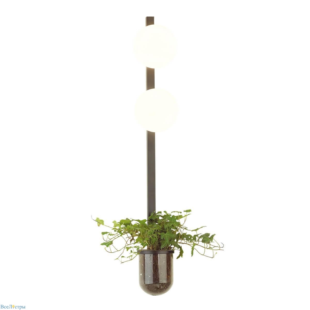 бра odeon light flower 4681/2wa