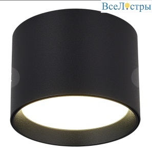 Накладной светильник ST Luce ST163.402.01.02