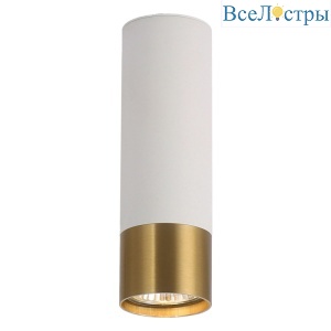 Накладной светильник Lussole Gilbert LSP-8831