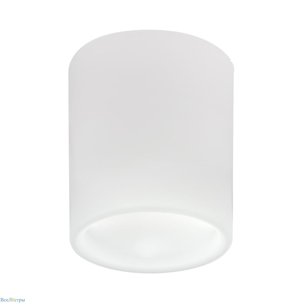 накладной светильник lightstar solido e27 216626