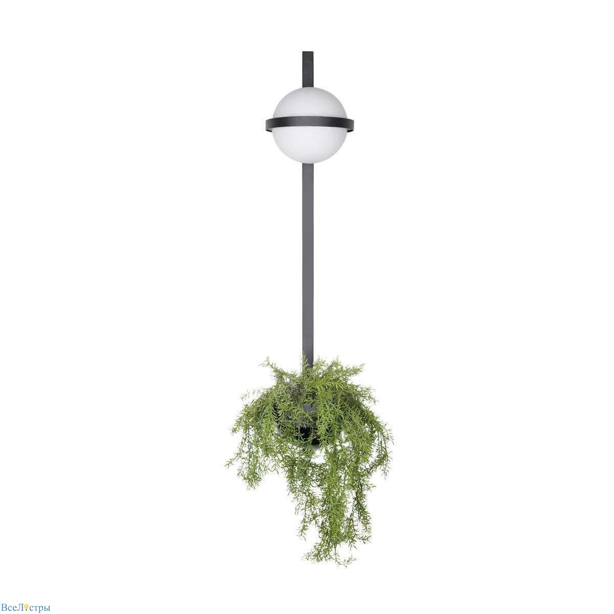 настенный светильник loft it jardin 10121w/b