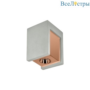 Потолочный светодиодный светильник Loft IT Architect OL1073-GG