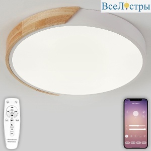 Потолочный светильник Natali Kovaltseva Scandinavian LED LAMPS 81181