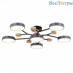 Люстра на штанге Evoluce Faema SLE6006-702-06