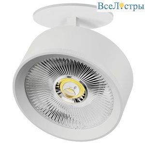 Встраиваемый светильник Alta Pro Lightstar A5746RS