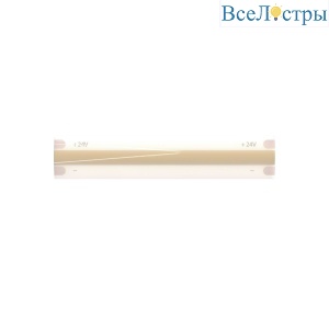 Светодиодная лента Arte Lamp Aqua Lane 24В 10Вт/м 6500K 5м A2432008-06-6K
