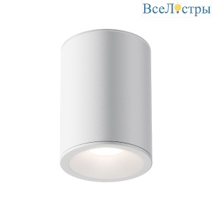 Потолочный светильник Maytoni Antares C029CL-01W