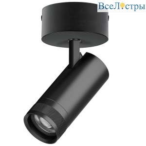 Накладной светильник 20-55G с адаптером Lightstar Canno Pro C4207SO