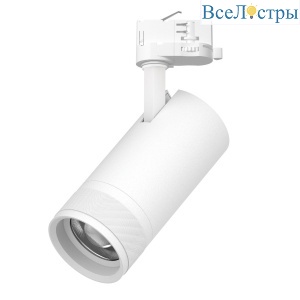 Трековый трехфазный светильник Quattro 20-55G с адаптером Lightstar Canno Pro C4306QT