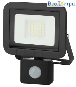 Прожектор светодиодный ЭРА LPR-041-2-65K-030 Б0043586